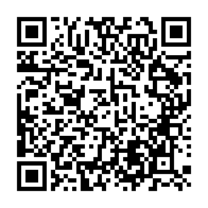 신청 폼 QR코드