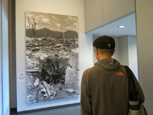 「新たに息吹いた芽」のパネル前で